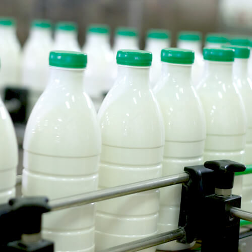 Plastic Milk Bottles In A Production Line