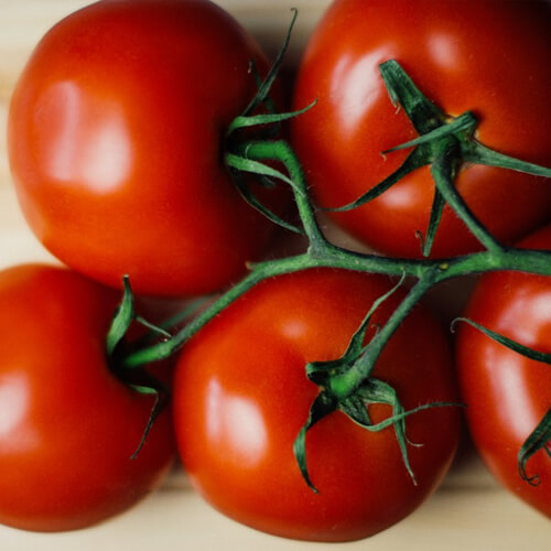 A Vine Of Tomatoes