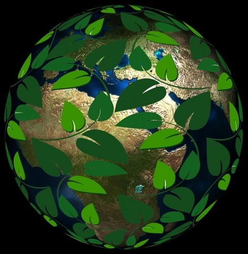 A Picture Of The Earth With Leaves & Vines On It