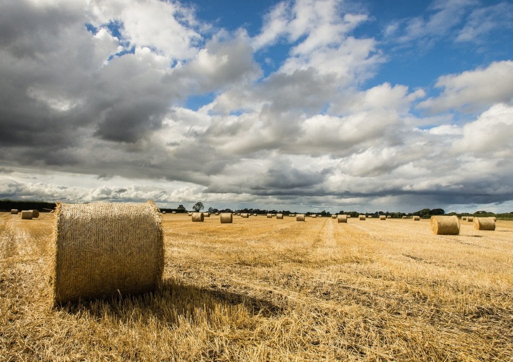 A Haybale In The Middle Of A Field
